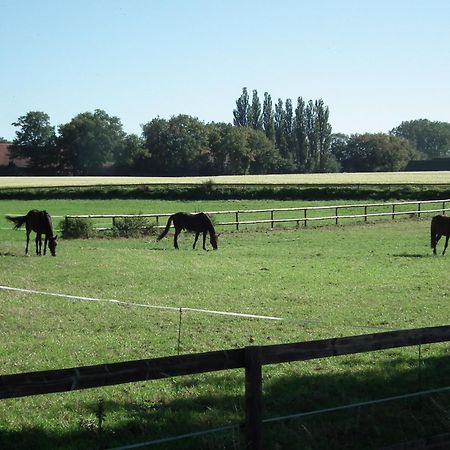Ferienwohnung "Landblick" Ludinghausen Luaran gambar