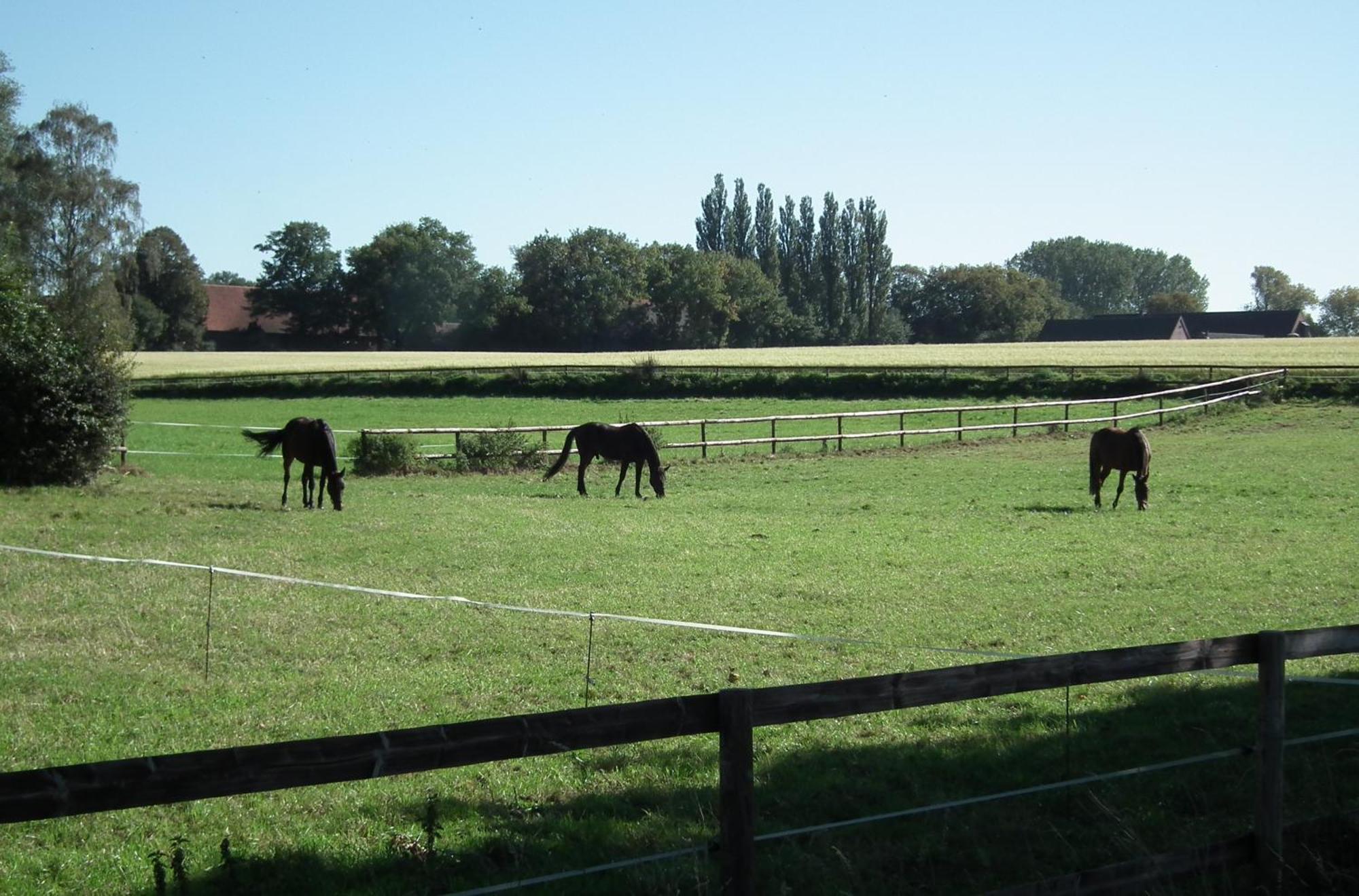 Ferienwohnung "Landblick" Ludinghausen Luaran gambar